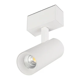 Фото #1 товара Светильник MAG-SPOT-45-R85-12W Warm3000 (WH, 36 deg, 24V, DALI) (Arlight, IP20 Металл, 5 лет)