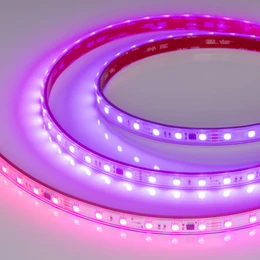 Фото #1 товара Светодиодная лента герметичная SPI-PS-B60-12mm 24V RGB-PX6-BPT (12 W/m, IP67, 5060, 5m) (Arlight, бегущий огонь)