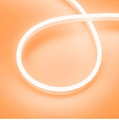 Фото #2 товара AURORA 12x6