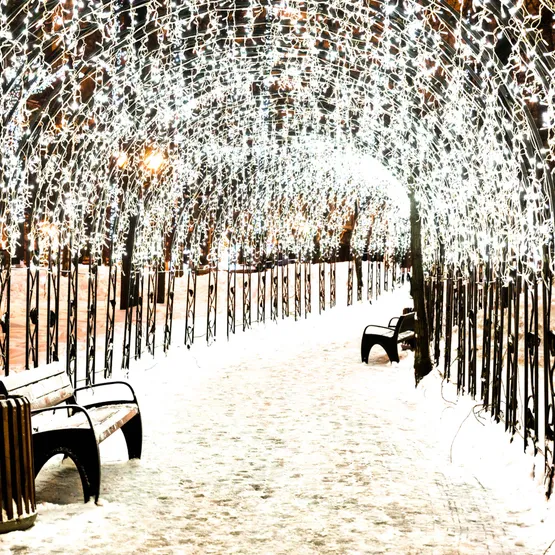 Фото #3 товара Светодиодная гирлянда ARD-EDGE-CLASSIC-2400x600-BLACK-88LED-PULSE Warm (230V, 6W) (Ardecoled, IP65)