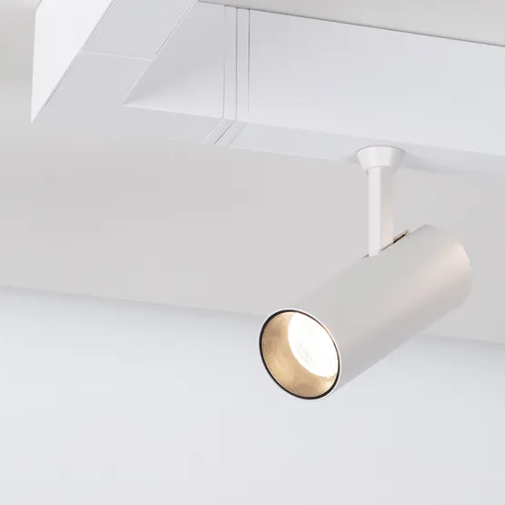 Фото #2 товара Светильник CLIP-38-SPOT-R146-6W Day4000 (WH, 24 deg, 24V) (Arlight, IP40 Металл, 3 года)