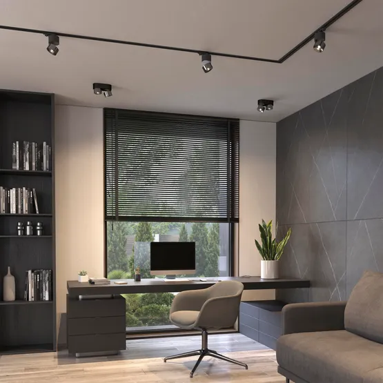 Фото #4 товара Светильник SP-PLURIO-TRACK-4TR-R77-9W Day4000 (BK-NI, 36 deg, 230V) (Arlight, IP20 Металл, 3 года)