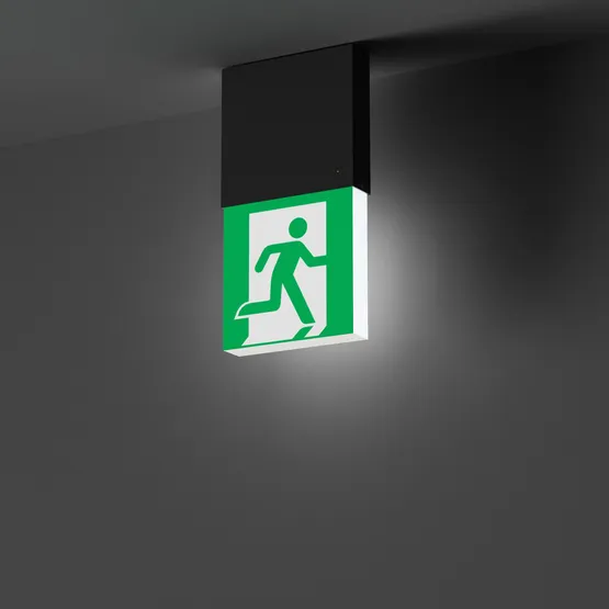 Фото #2 товара Световой указатель EMG-MARK-M-3H-BK (Arlight, IP40 Металл, 5 лет)