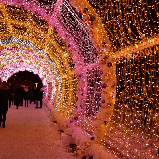 Фото #5 товара Светодиодная гирлянда ARD-STRING-CLASSIC-10000-CLEAR-100LED-STD Azure (230V, 7W) (Ardecoled, IP65)