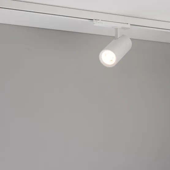 Фото #2 товара Светильник LGD-GERA-4TR-R74-20W Day4000 (WH, 55 deg, 230V) (Arlight, IP20 Металл, 5 лет)