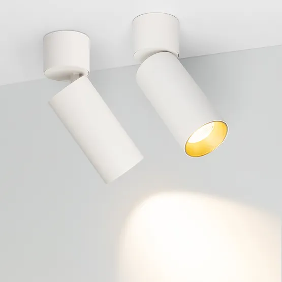 Фото #2 товара Светильник SP-POLO-SURFACE-FLAP-R65-8W Warm3000 (WH-GD, 40 deg) (Arlight, IP20 Металл, 3 года)