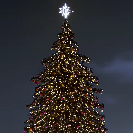 Фото #5 товара Светодиодная гирлянда ARD-STRING-PRO-10000-GREEN-100LED-STD WARM (230V, 7W) (Ardecoled, IP65)