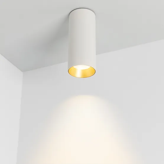 Фото #2 товара Светильник SP-POLO-SURFACE-R65-8W White5000 (WH-GD, 40 deg) (Arlight, IP20 Металл, 3 года)