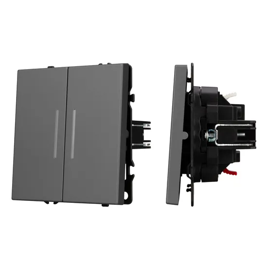 Фото #1 товара Механизм выключателя двухклавишный непроходной LED SWT-NOBE-MK02-SFPL-L-GR (230V, 10A) (Arlight, Серый базальт)