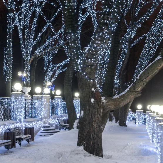 Фото #5 товара Светодиодная гирлянда ARD-STRING-CLASSIC-10000-BLACK-100LED-MILK-STD White (230V, 7W) (Ardecoled, IP65)