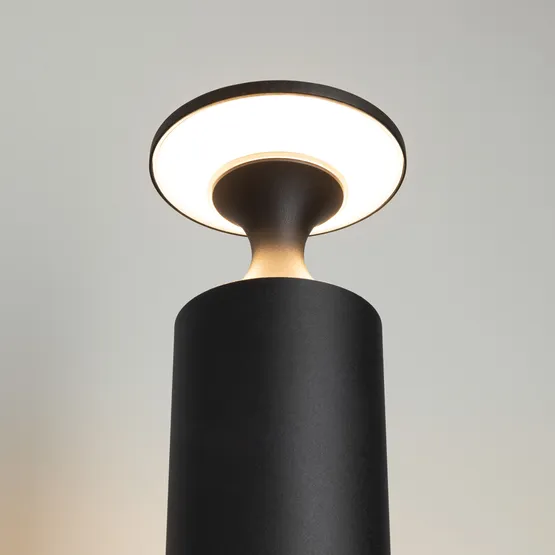 Фото #4 товара Светильник LGD-LONDARI-BOLL-H900-12W Warm3000 (BK, 125 deg, 230V) (Arlight, IP65 Металл, 3 года)