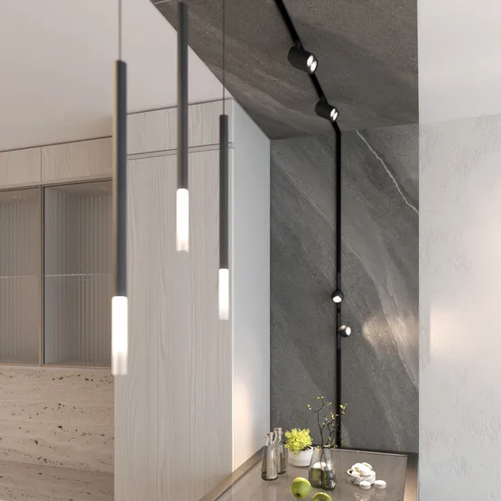 Фото #6 товара Светильник MAG-ORIENT-BLUM-12W Warm3000 (BK, 40 deg, 48V) (Arlight, IP20 Металл, 5 лет)