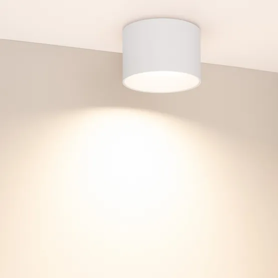 Фото #5 товара Светильник SP-BISCOTTO-R120-12W Warm3300-MIX (WH, 80 deg, 230V) (Arlight, IP54 Металл, 5 лет)