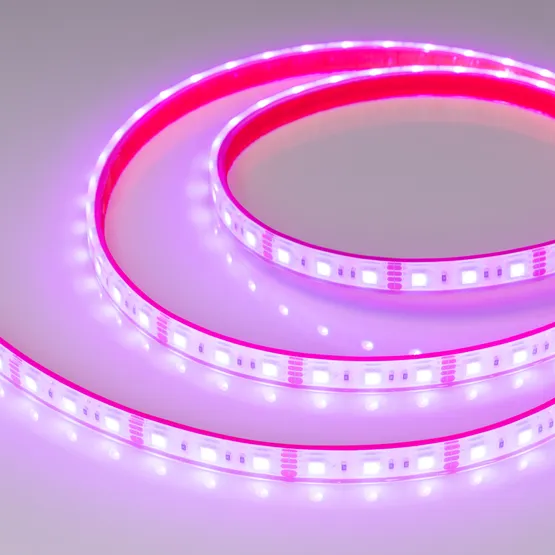Фото #4 товара Светодиодная лента герметичная RTW-PFS-B60-13mm 12V RGB (14.4 W/m, IP68, 5060, 5m) (Arlight, -)
