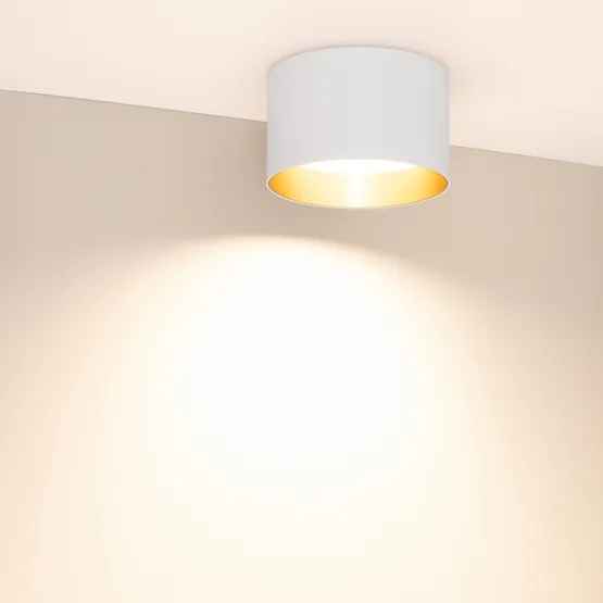 Фото #4 товара Светильник SP-BISCOTTO-R140-15W Warm3300-MIX (WH-GD, 80 deg, 230V) (Arlight, IP54 Металл, 5 лет)