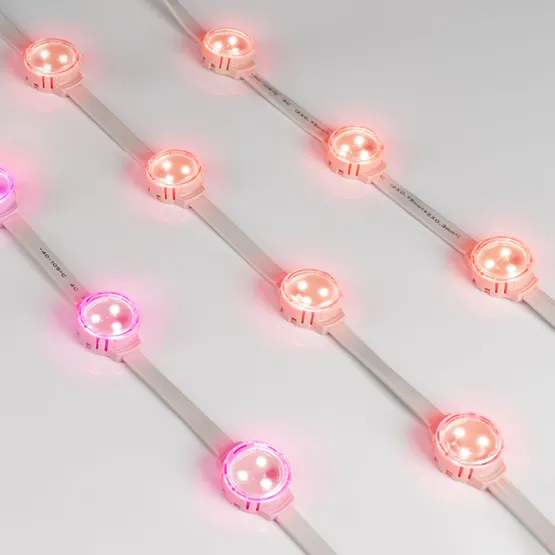 Фото #4 товара Модуль управляемый SOLEX-SPI-3535-3-12V RGB 120deg (D30x16mm, 0.75W, IP67) (Arlight, Пластик, 3 года)