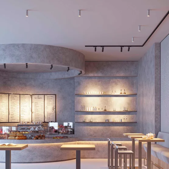 Фото #6 товара Светильник SP-ARTEMIS-SURFACE-FLAP-R55-12W Warm3000 (WH, 8-80 deg, 230V) (Arlight, IP20 Металл, 5 лет)