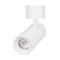 Минифото #1 товара Светильник SP-ARTEMIS-SURFACE-FLAP-R55-12W Day4000 (WH, 8-80 deg, 230V) (Arlight, IP20 Металл, 5 лет)