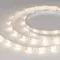 Минифото #6 товара Светодиодная лента RTW-SE-B60-10mm 24V RGBW-Day (14.4 W/m, IP65, 5060, 5m) (Arlight, Открытый)