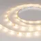 Минифото #4 товара Светодиодная лента RTW-SE-B60-10mm 24V RGBW-Warm (14.4 W/m, IP65, 5060, 5m) (Arlight, Открытый)