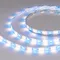 Минифото #2 товара Светодиодная лента RTW-SE-B60-10mm 24V RGBW-Warm (14.4 W/m, IP65, 5060, 5m) (Arlight, Открытый)