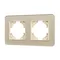 Минифото #1 товара Рамка стеклянная FRM-OMALI-GS-2-GD (Arlight, -)