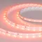 Минифото #1 товара Светодиодная лента RT-A60-8mm 24V Carrot (4.8 W/m, IP20, 5m) (Arlight, -)