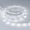 Минифото #3 товара Светодиодная лента RT-A30-8mm 24V White6000 (2.9 W/m, IP20, 2835, 5m) (Arlight, Открытый)