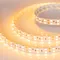 Минифото #2 товара Светодиодная лента RT 2-5000 24V Yellow 2x2 (5060, 600 LED, LUX) (Arlight, 28.8 Вт/м, IP20)