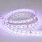 Минифото #2 товара Светодиодная лента RT 2-5000 24V RGBW-MIX 12mm (5060-One, 60 LED/m, LUX) (Arlight, RGB-CCT, RGB-MIX, RGB-White MIX)