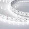 Минифото #3 товара Светодиодная лента RT 2-5000 24V White6000 2x2 (5060, 600 LED, LUX) (Arlight, 28.8 Вт/м, IP20)