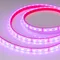Минифото #4 товара Светодиодная лента герметичная RTW-PFS-B60-13mm 12V RGB (14.4 W/m, IP68, 5060, 5m) (Arlight, -)