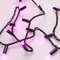 Минифото #2 товара Светодиодная гирлянда ARD-STRING-CLASSIC-10000-BLACK-100LED-STD PINK (230V, 7W) (Ardecoled, IP65)
