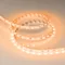 Минифото #4 товара Светодиодная лента RT-B60-10mm 24V Orange (14.4 W/m, IP20, 5060, 5m) (Arlight, 14.4 Вт/м, IP20)