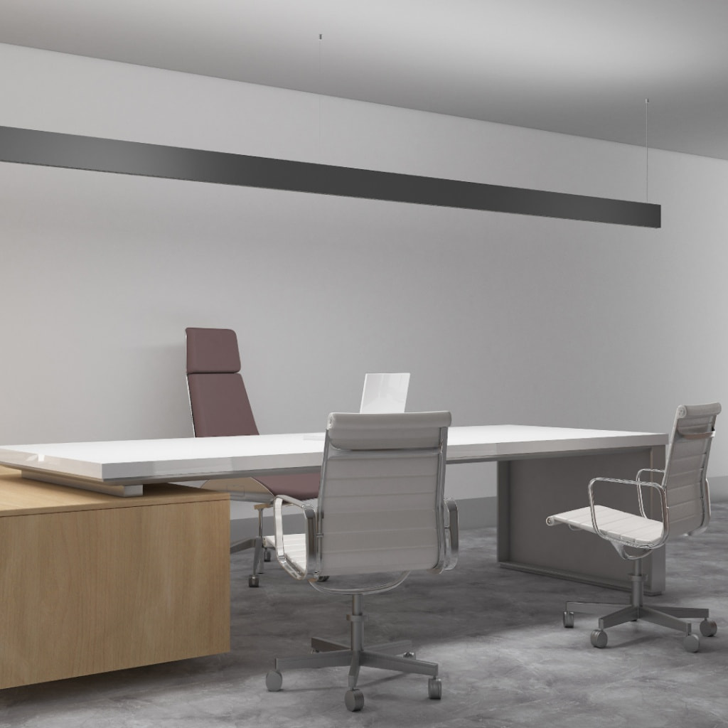 IN2 (6).jpg IN2 (6).jpg